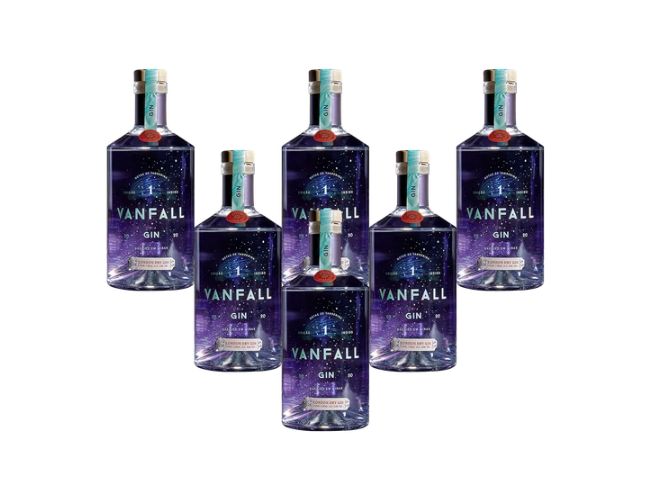 Gin London Dry Vanfall 750 ml.